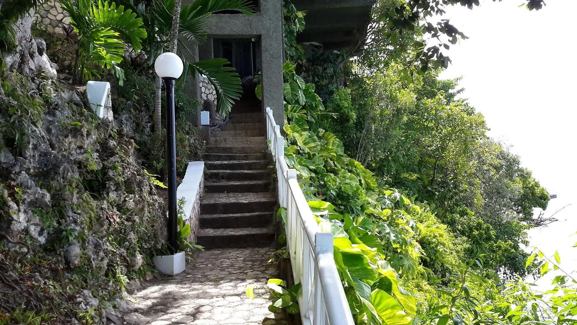 Hibiscus Lodge Hotel オーチョ・リオス 3*,  ジャマイカ