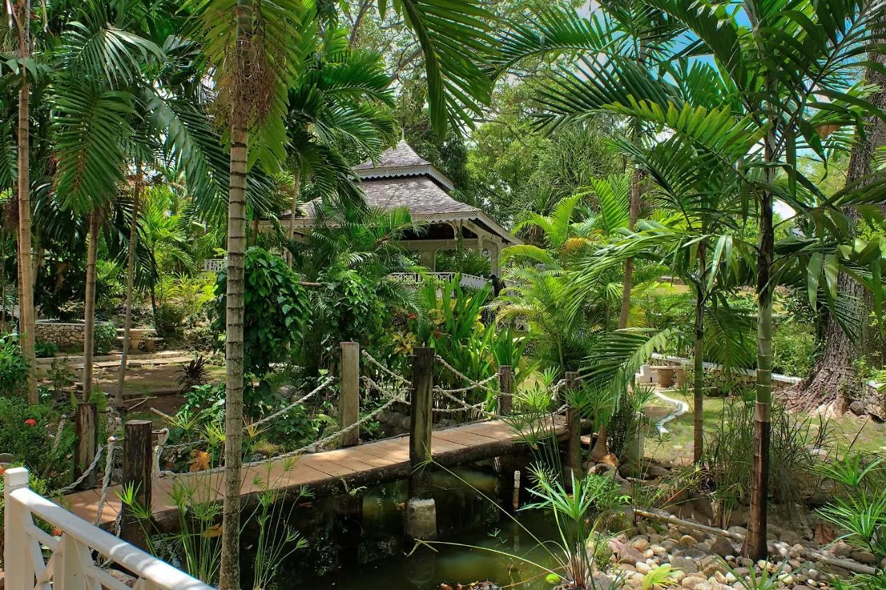 Hibiscus Lodge Hotel Ocho Rios 3*,