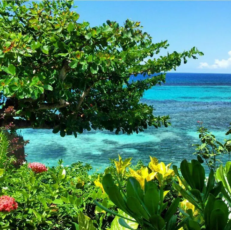 Hibiscus Lodge Hotel Ocho Rios 3*,  Jamaica